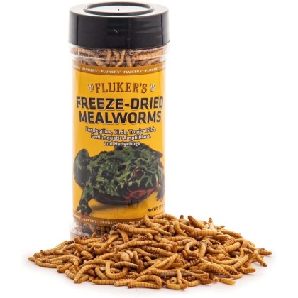 Flukers Freeze-Dried Mealworms