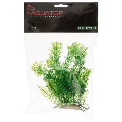 Aquatop Cabomba Aquarium Plant - Green