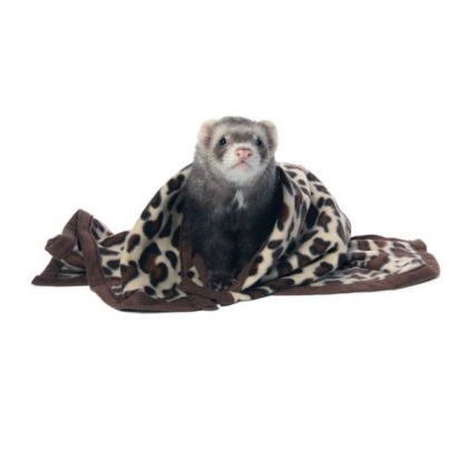 Marshall Designer Fleece Blanket for Small Animals