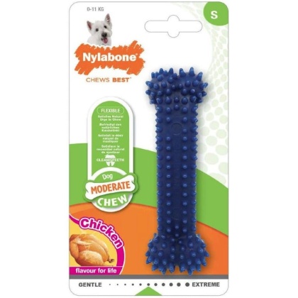 Nylabone Dental Chew Bone - Chicken Flavor